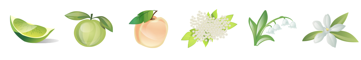 Vůně a chuť vína Prosecco Rive di Refrontolo Millesimato Extra Brut z vinařství De Stefani